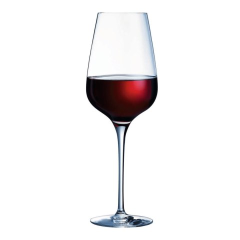 Kieliszek do wina Oenologue Expert 450 ml