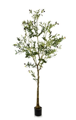 OLIVES Kwiat sztuczny h:180cm