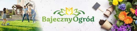 Magnicur Energy Grzybobójczy Fytoftoroza 100 ml Protect Garden (R)