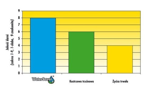 Trawa Odporna Na Suszę Barenbrug Dry & Strong Watersaver Otoczkowana 1kg