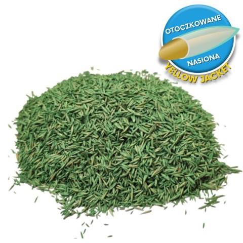 Trawa Odporna Na Suszę Barenbrug Dry & Strong Watersaver Otoczkowana 1kg