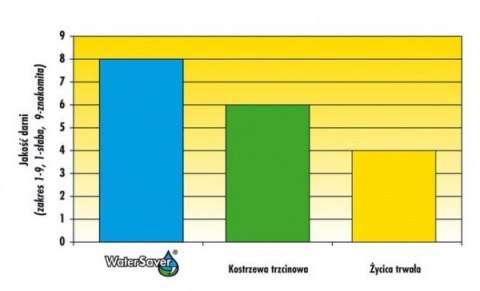 Trawa Odporna Na Suszę Barenbrug Dry & Strong Watersaver Otoczkowana 5kg